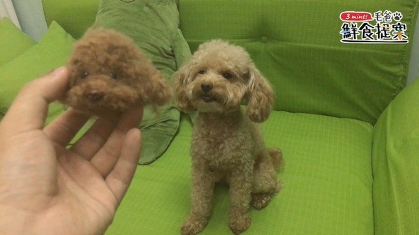 【毛爸鮮食提案】用烤箱自製毛孩零食～卡滋卡滋地瓜脆餅（圖／毛起來 MaoUp）