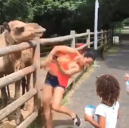 女遊客嘟嘴自拍，險被駱駝大口爆頭。（圖／翻攝自Instagram用戶@lnstagramanimals）