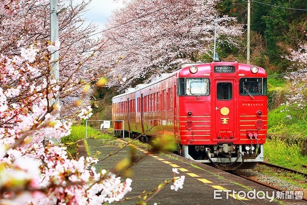 ▲日本四國、山陰山陽賞櫻攻略▼             。（圖／翔笙旅遊 提供）