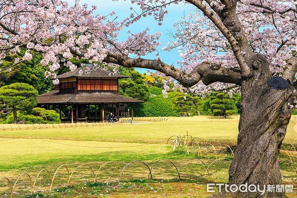 ▲日本四國、山陰山陽賞櫻攻略▼             。（圖／翔笙旅遊 提供）