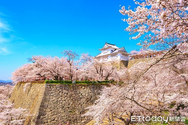 ▲日本四國、山陰山陽賞櫻攻略▼             。（圖／翔笙旅遊 提供）