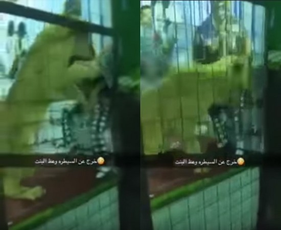 ▲▼ 沙烏地阿拉伯港口城市吉達（Jeddah）某節慶活動允許孩童與幼獅玩耍，沒想到牠突然攻擊一名女童。（圖／翻攝自Youtube）