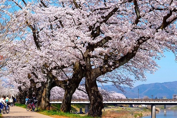 ▲夢幻三方五湖▼             。（圖／翔笙旅遊 提供）