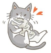 【汪喵餵養知識】毛孩異食癖？塑膠袋、紙箱、木屑通通都吃？（圖／毛起來 MaoUp）