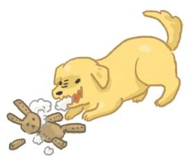 【汪喵餵養知識】毛孩異食癖？塑膠袋、紙箱、木屑通通都吃？（圖／毛起來 MaoUp）