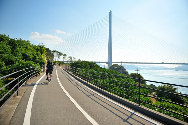 ▲挑戰自行車、馬拉松、登富士山▼             。（圖／Shutterstock.com 提供）