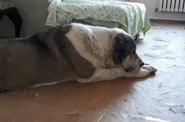 逆子不睡覺！大嗆親媽還反咬一口。（圖／翻攝自Татьяна Кумаченко臉書）