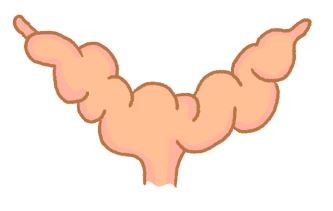 【汪汪康健】你家汪汪結紮了嗎？母狗結紮可是好處多多喔！（圖／毛起來 MaoUp）