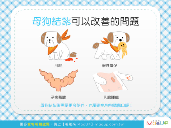 【汪汪康健】你家汪汪結紮了嗎？母狗結紮可是好處多多喔！（圖／毛起來 MaoUp）