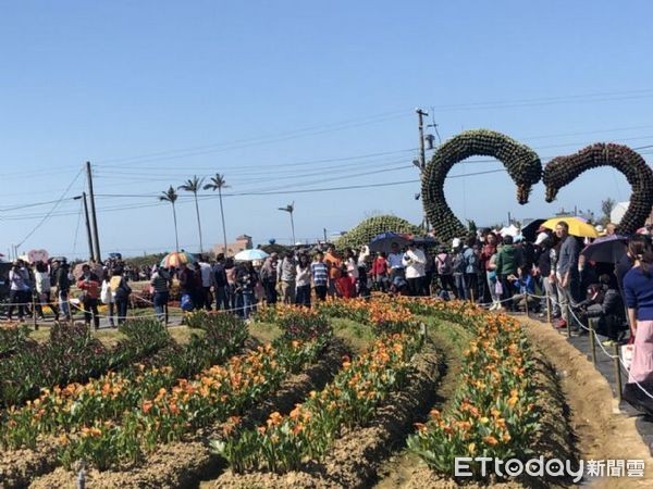 ▲2018桃園彩色海芋季天公作美，地方人士誇稱邱俊銘、郭承泉「人品好」。（圖／記者楊淑媛攝）