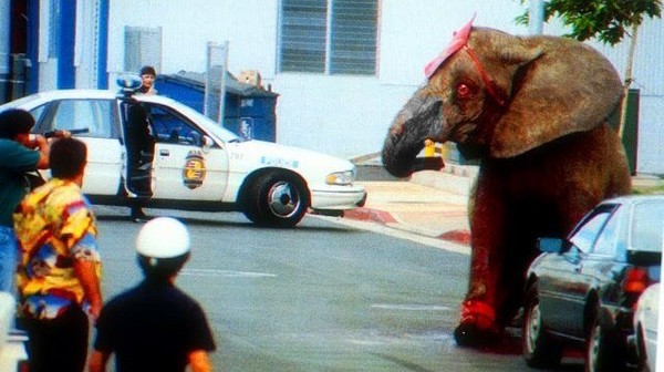 一頭叫「泰克」（Tyke）的大象在表演中發狂，踩死了訓獸師並導致13人受傷，牠事後被開近100槍，全身是血慘，如今24年過去仍震撼人心。（圖／翻攝「亞洲善待動物組織PETA ASIA」網站／鼻子血跡變色）