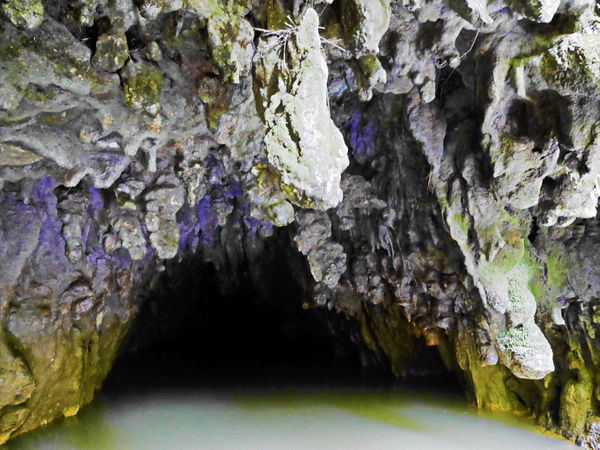 ▲紐西蘭北島必去景點。（圖／小妞的生活旅程提供）