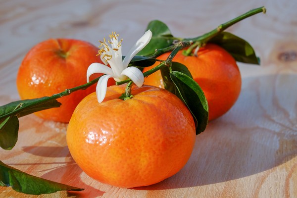 ▲柑橘。（圖／翻攝自pixabay）