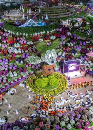 ▲杜拜花卉米老鼠。（圖／Dubai Miracle Garden粉絲頁）