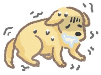 狗狗發抖危險程度大不同！快來釐清發抖原因！（圖／毛起來 MaoUp） 