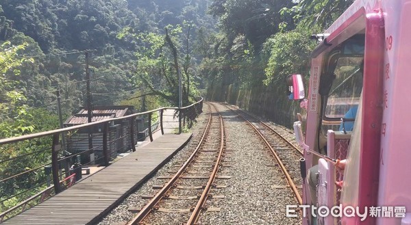 ▲台車徜徉山林間！「雲仙樂園」搭纜車近距離看烏來瀑布。（圖／記者周姈馨攝）