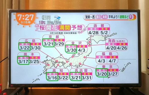 ▲▼日本富士電視台氣象報導櫻花季提前到來。（圖／翻攝自老馬茶屋電視台粉絲專頁）