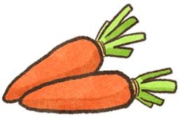 【毛孩食材圖鑑】手術後好心疼！怎麼吃才能快快好？（圖／毛起來 MaoUp）