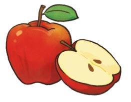 【毛孩食材圖鑑】手術後好心疼！怎麼吃才能快快好？（圖／毛起來 MaoUp）