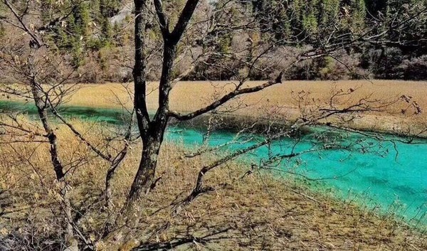 ▲四川九寨溝3/8逐步開放，在地震後出現新景觀。（圖／當地旅行業者提供）