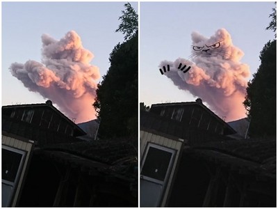 火山噴發驚見粉紅巨貓！網友：喵星人要統治地球了嗎？