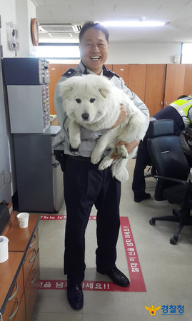 警局收養浪浪，18月後進化大白熊。（圖／翻攝自ＸＸＸ粉絲專頁）