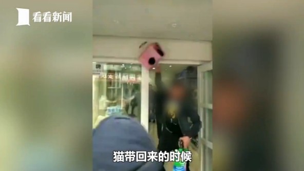 ▲▼南京一名男子送貓求愛，之後不想養，放寵物店又不想付寄養費，最後將貓摔死。（圖／翻攝《看看新聞網》）