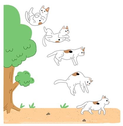 【喵喵小學堂】貓貓從高處跳下來也沒事，是真的有九命嗎？！（圖／毛起來 MaoUp