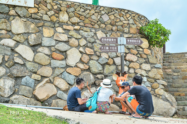 ▲馬祖版奈良公園 大坵島超可愛的上百隻梅花鹿與迷人海景。（圖／Banbi提供）