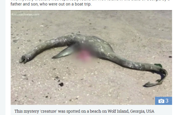 美國一名男子瓦倫（Jeff Warren）上週與兒子一同划船到喬治亞州的沃爾夫島（Wolf Island）時，竟發現沙灘上躺了一個「謎樣生物」，牠有長長的尾巴，還有魚鰭，就宛如傳說中的「尼斯湖水怪」。（圖／翻攝自太陽報）