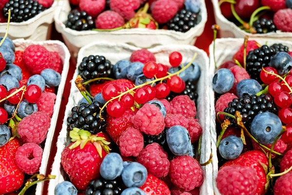 莓果。（圖／pixabay）