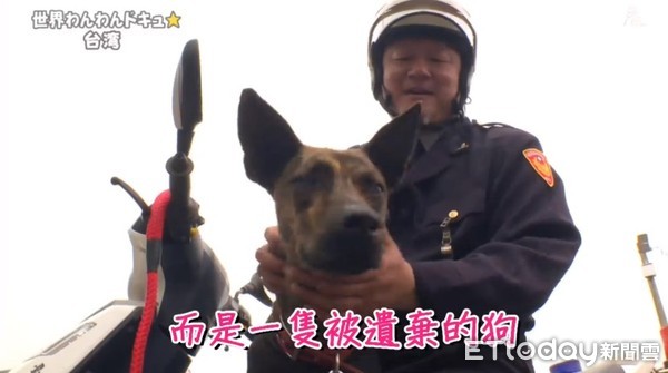 ▲波麗士警犬「霸王」，與員警互動十分親密。（圖／記者林悅翻攝）