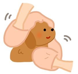 【汪汪洗香澎】狗狗毛好難乾怎麼辦？3個更快速吹毛的技巧！（圖／毛起來 MaoUp）