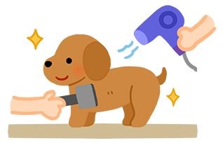 【汪汪洗香澎】狗狗毛好難乾怎麼辦？3個更快速吹毛的技巧！（圖／毛起來 MaoUp）