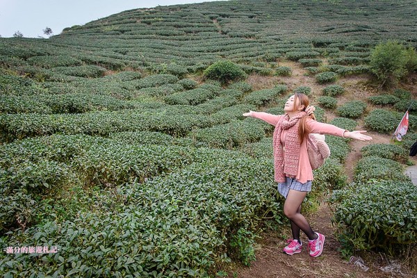 ▲▼ 嘉義　太平雲梯 。（圖／滿分的旅遊札記提供）