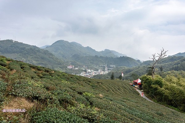 ▲▼ 嘉義　太平雲梯 。（圖／滿分的旅遊札記提供）