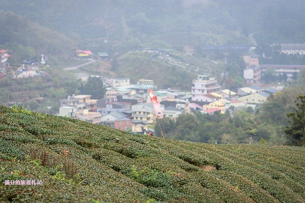 ▲▼ 嘉義　太平雲梯 。（圖／滿分的旅遊札記提供）