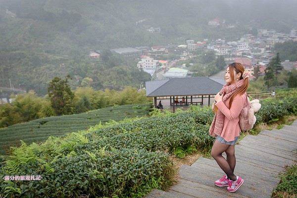 ▲▼ 嘉義　太平雲梯 。（圖／滿分的旅遊札記提供）