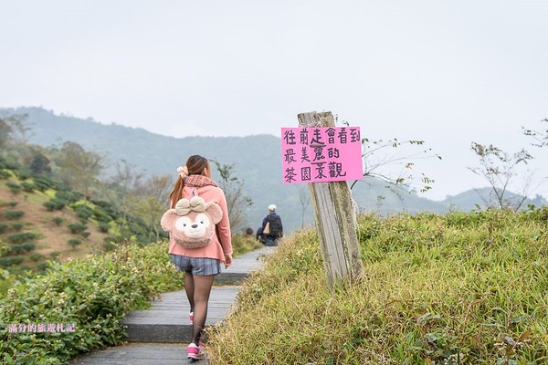 ▲▼ 嘉義　太平雲梯 。（圖／滿分的旅遊札記提供）