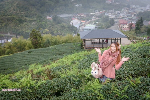 ▲▼ 嘉義　太平雲梯 。（圖／滿分的旅遊札記提供）