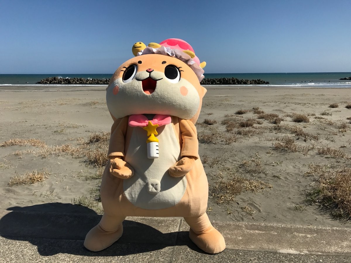 ▲▼檸檬用圖。（圖／翻攝自推特，love2chiitan）