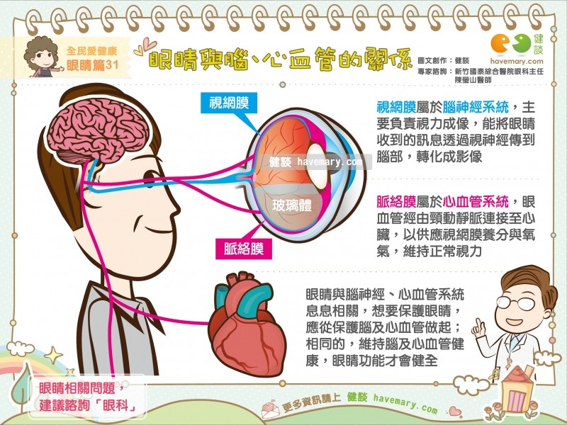 眼睛能看出「腦、心血管問題」？（圖／健談授權提供）