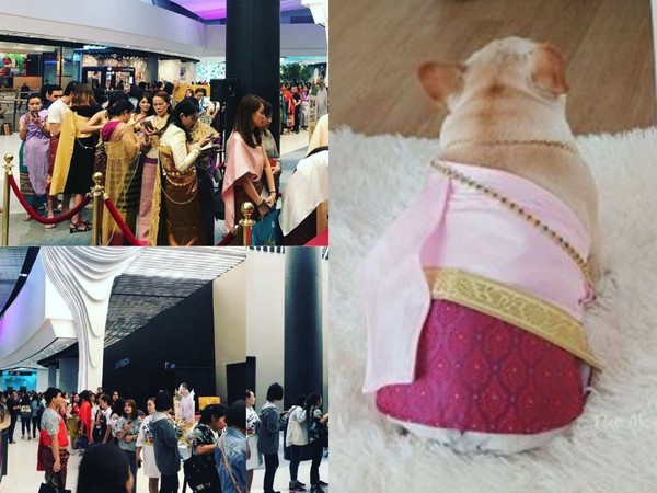 ▲泰國粉絲穿古裝去商場排隊參加活動，還有人幫狗狗穿古裝。（圖／翻攝自IG）