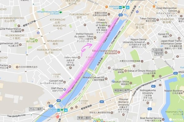 ▲東京五大私房賞櫻去處。（圖／matcha提供）