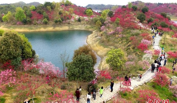 ▲▼江西九江廬山西海景區四季花開、百花爭艷。（圖／翻攝自中新網）