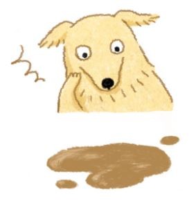 【鮮食烹飪秘訣】初試鮮食！毛孩便便變變變？（圖／毛起來 MaoUp）