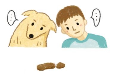 【鮮食烹飪秘訣】初試鮮食！毛孩便便變變變？（圖／毛起來 MaoUp）