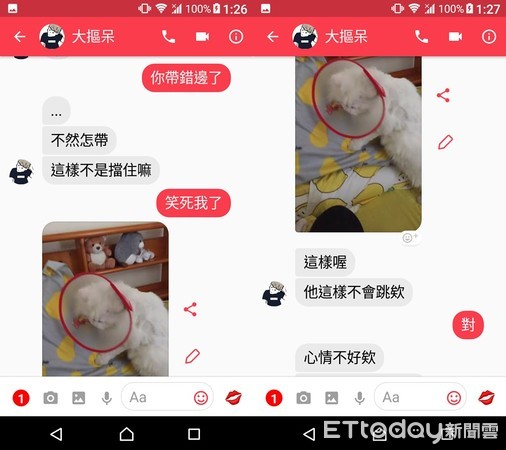 ▲爸帶孩子媽崩潰！喵頭套戴反眼神死　網笑：原來能兩用