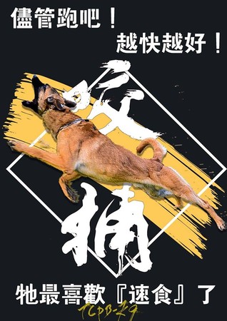 ▲臺中市警犬隊今成軍，三種功能工作犬創意海報吸睛。（圖／翻攝自「TCPB局長室」粉絲專頁）