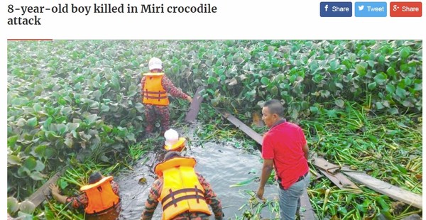 小腿慘遭鱷魚噬咬　8歲童慘叫一聲瞬間沉入河底。（圖／翻攝自馬來西亞New Straits Times Online）